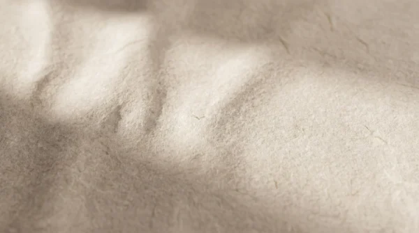 Mocha Mousse Paper Texture Minimal Poster Background