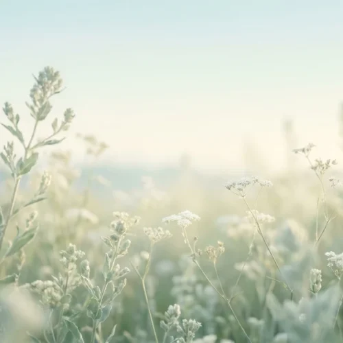 Pure Air Nature Background