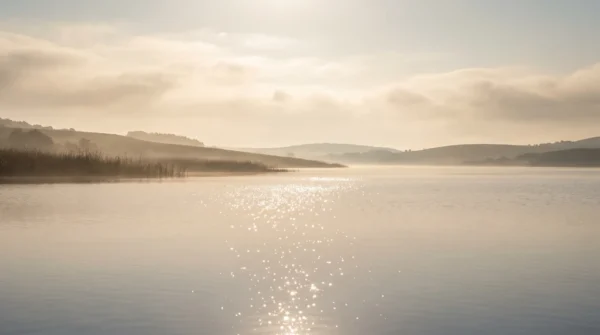 Sunlit Water Reflection Background