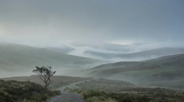 Highland Mist Background