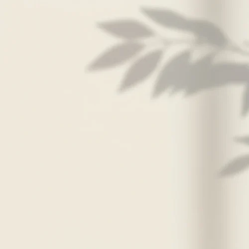 Leaf Shadow Background on Light Surface