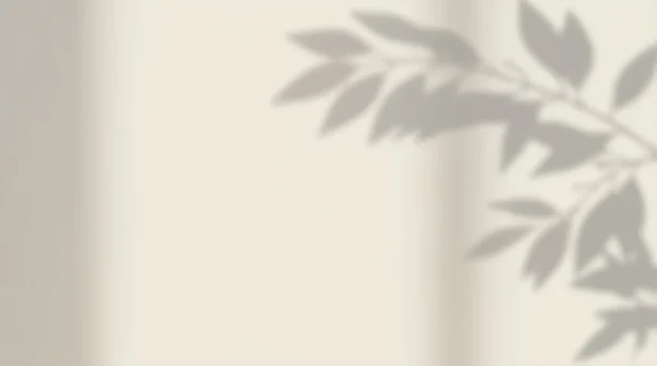 Leaf Shadow Background on Light Surface