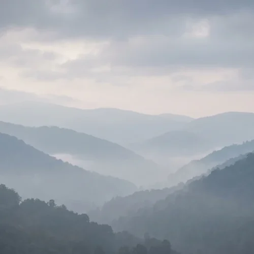 Foggy Valley Background Foggy Valley Background