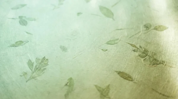Eco Green Gradient Nature Background Eco Green Gradient Nature Background