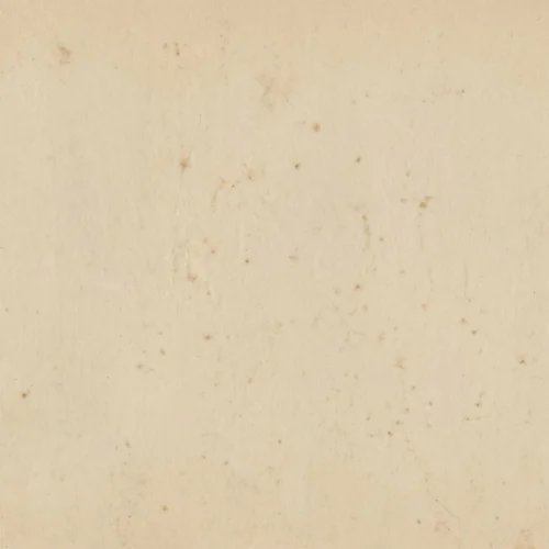 Old Library Paper Background