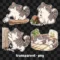 Judgy Cat Digital Stickers, 2D flat cat clipart, goodnotes stickers, cute png, cat digital journaling set, transparent