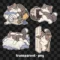 Judgy Cat Digital Stickers, 2D flat cat clipart, goodnotes stickers, cute png, cat digital journaling set, transparent